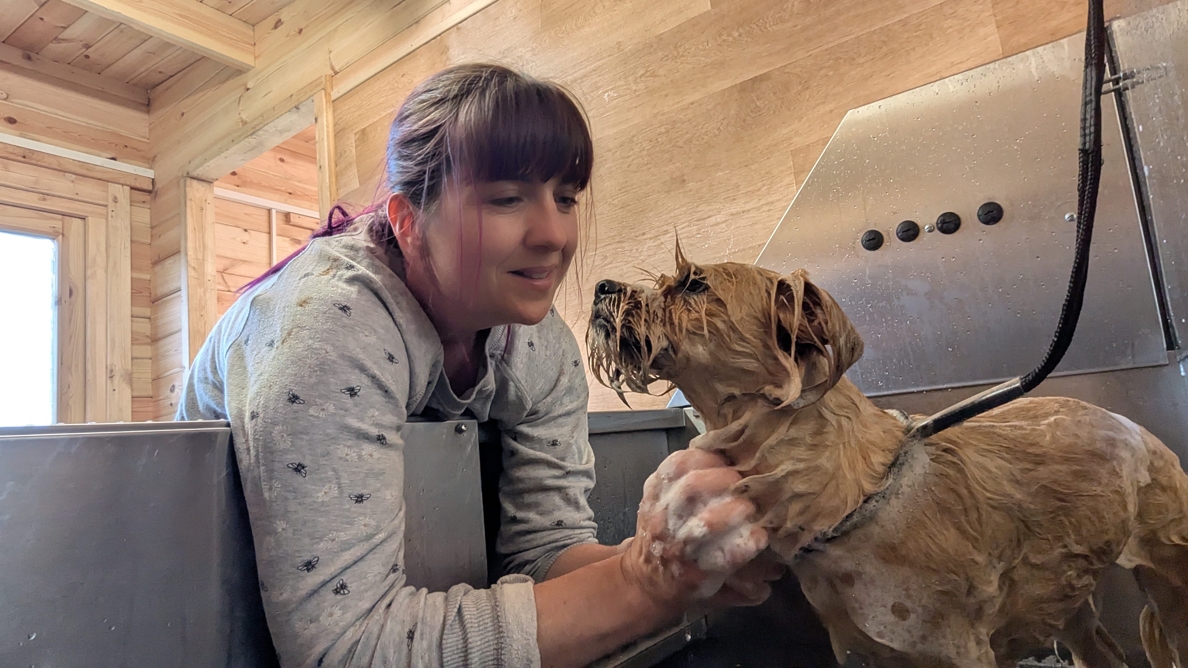 Imposter syndrome as a new groomer