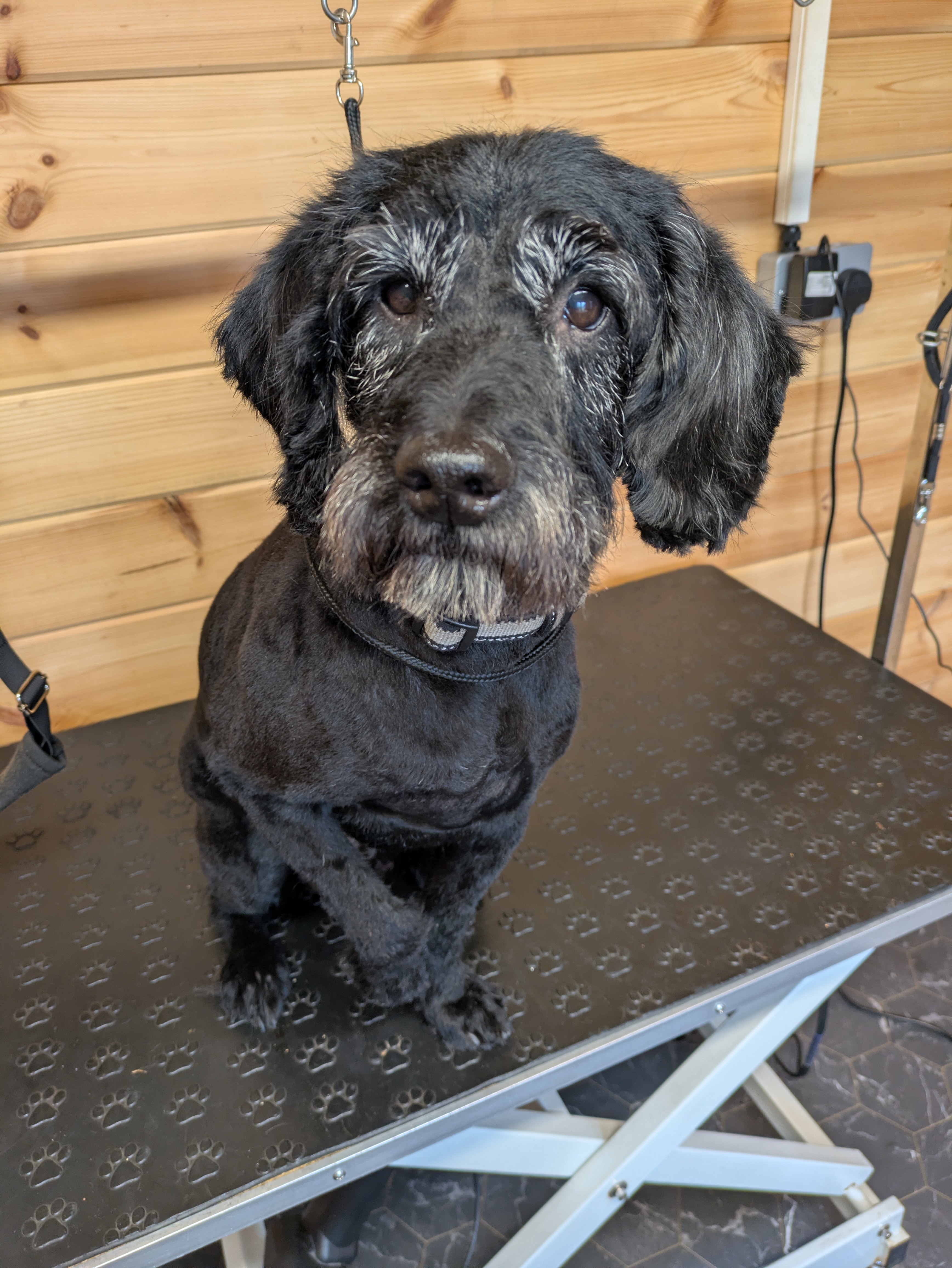 After grooming