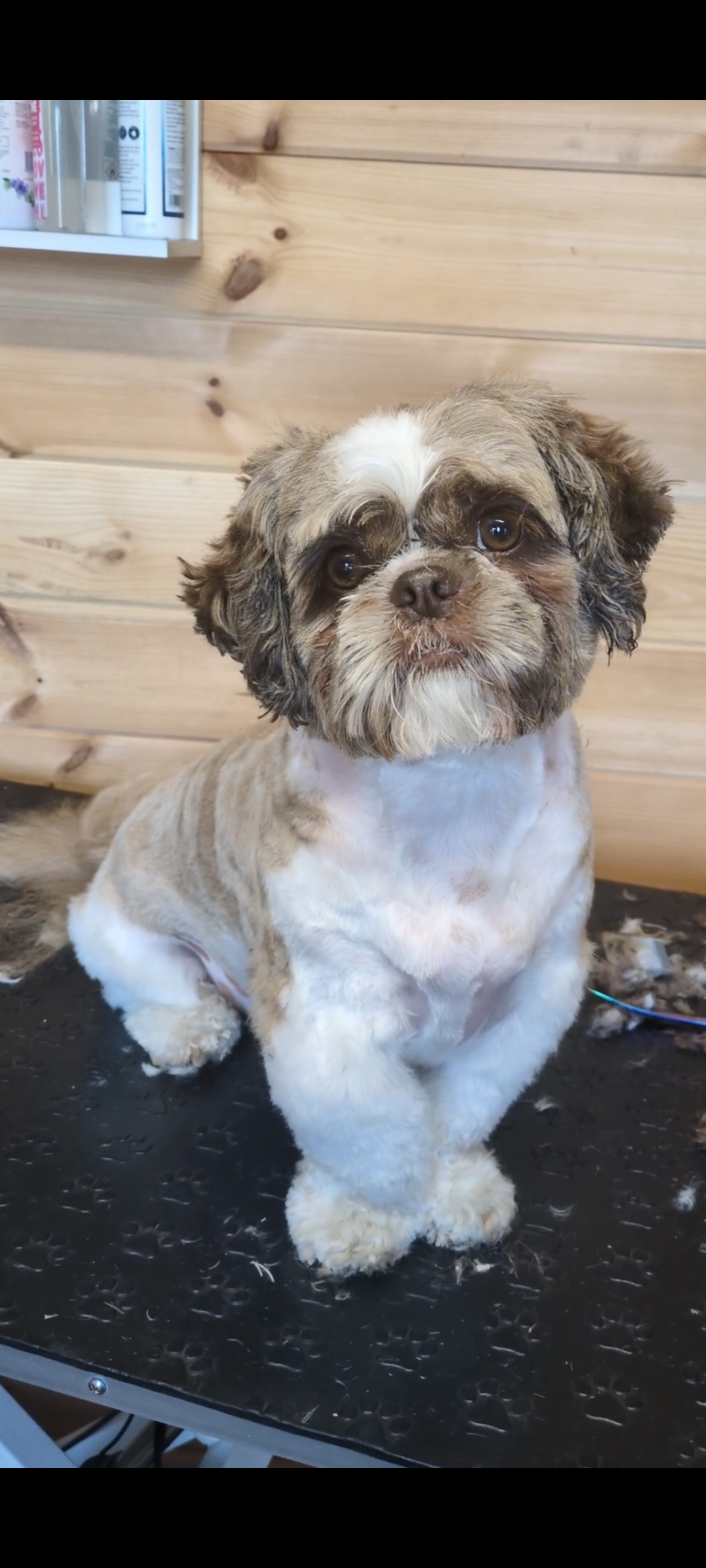 After grooming