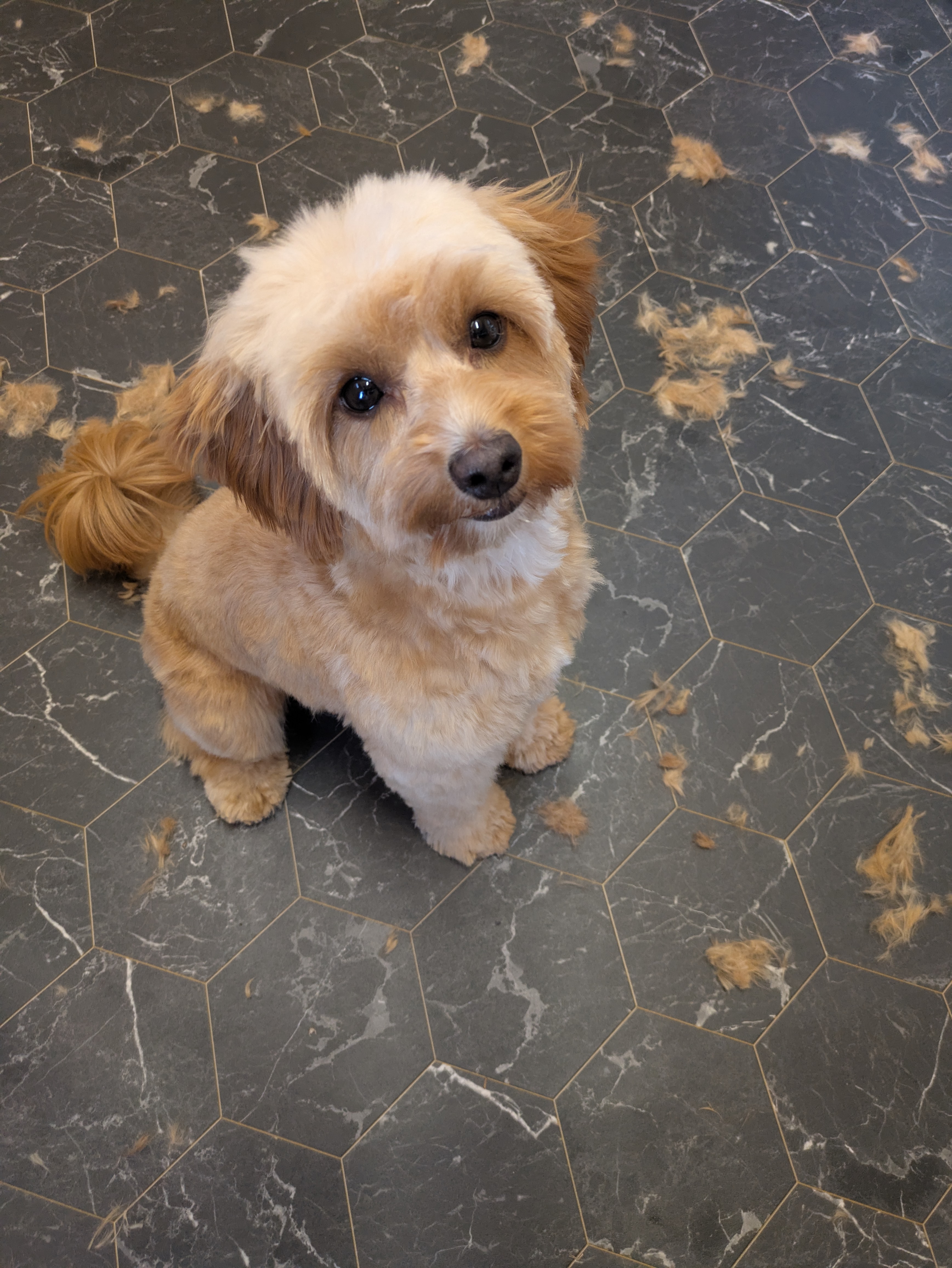 After grooming