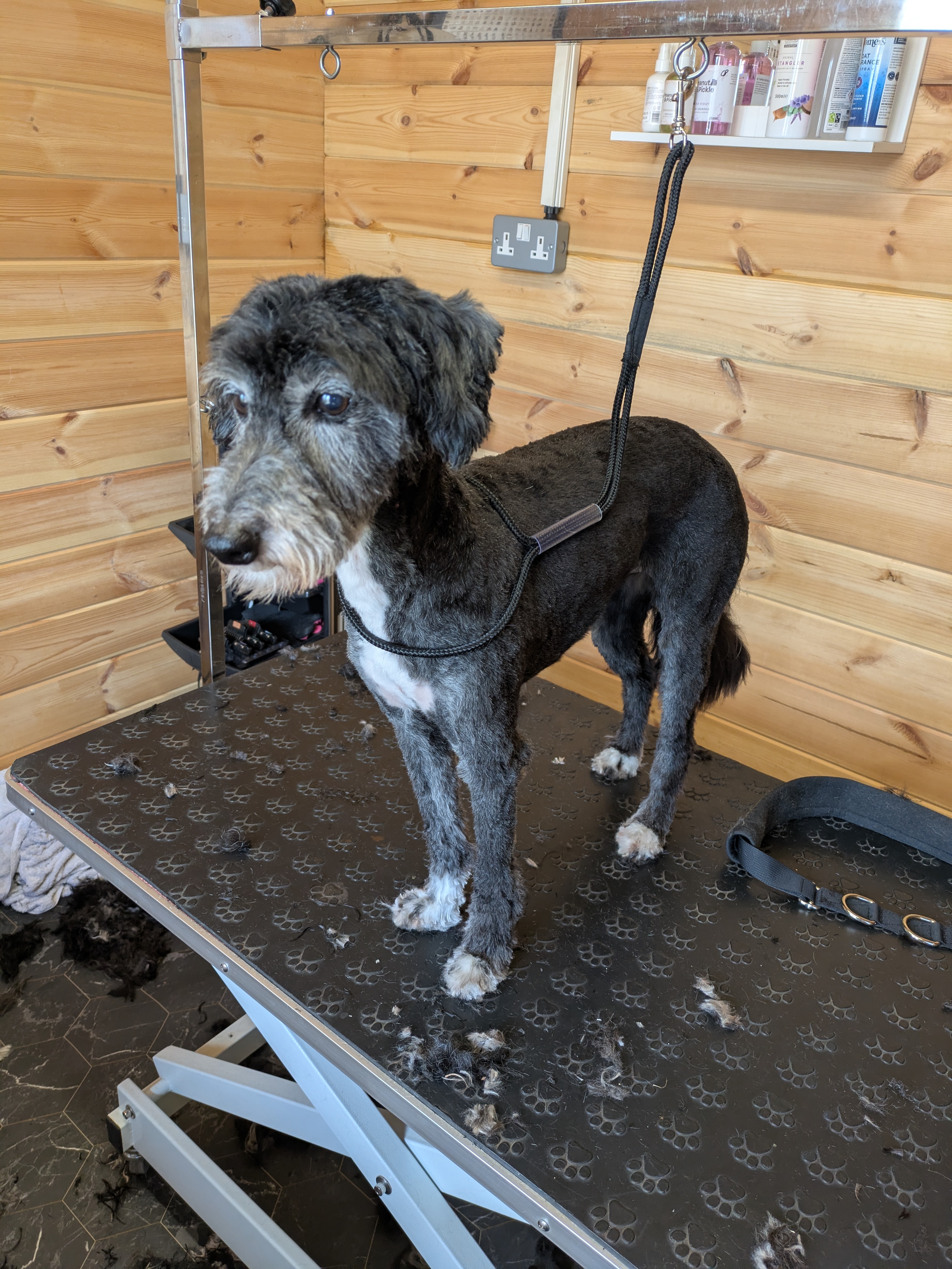 After grooming
