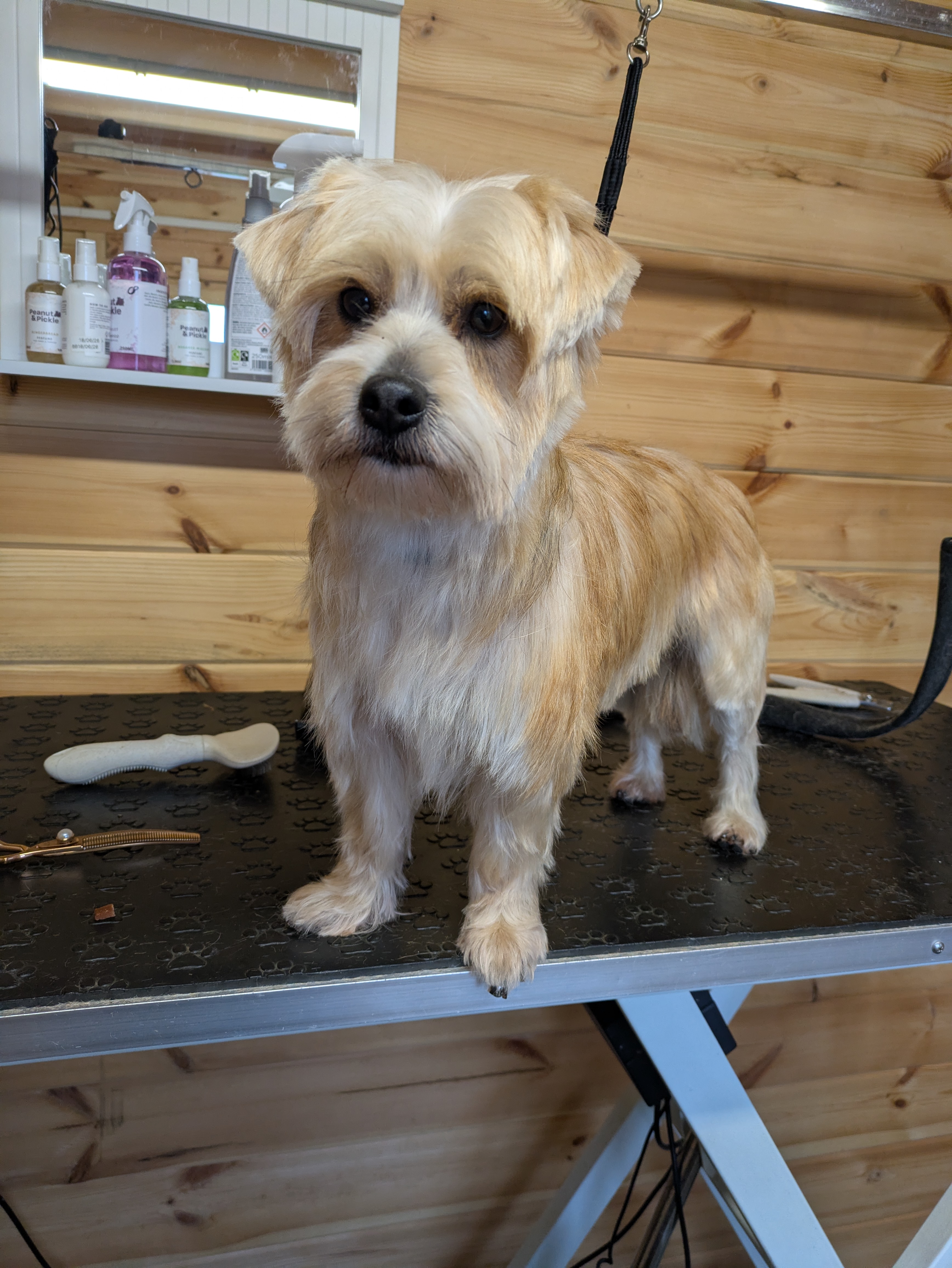 After grooming