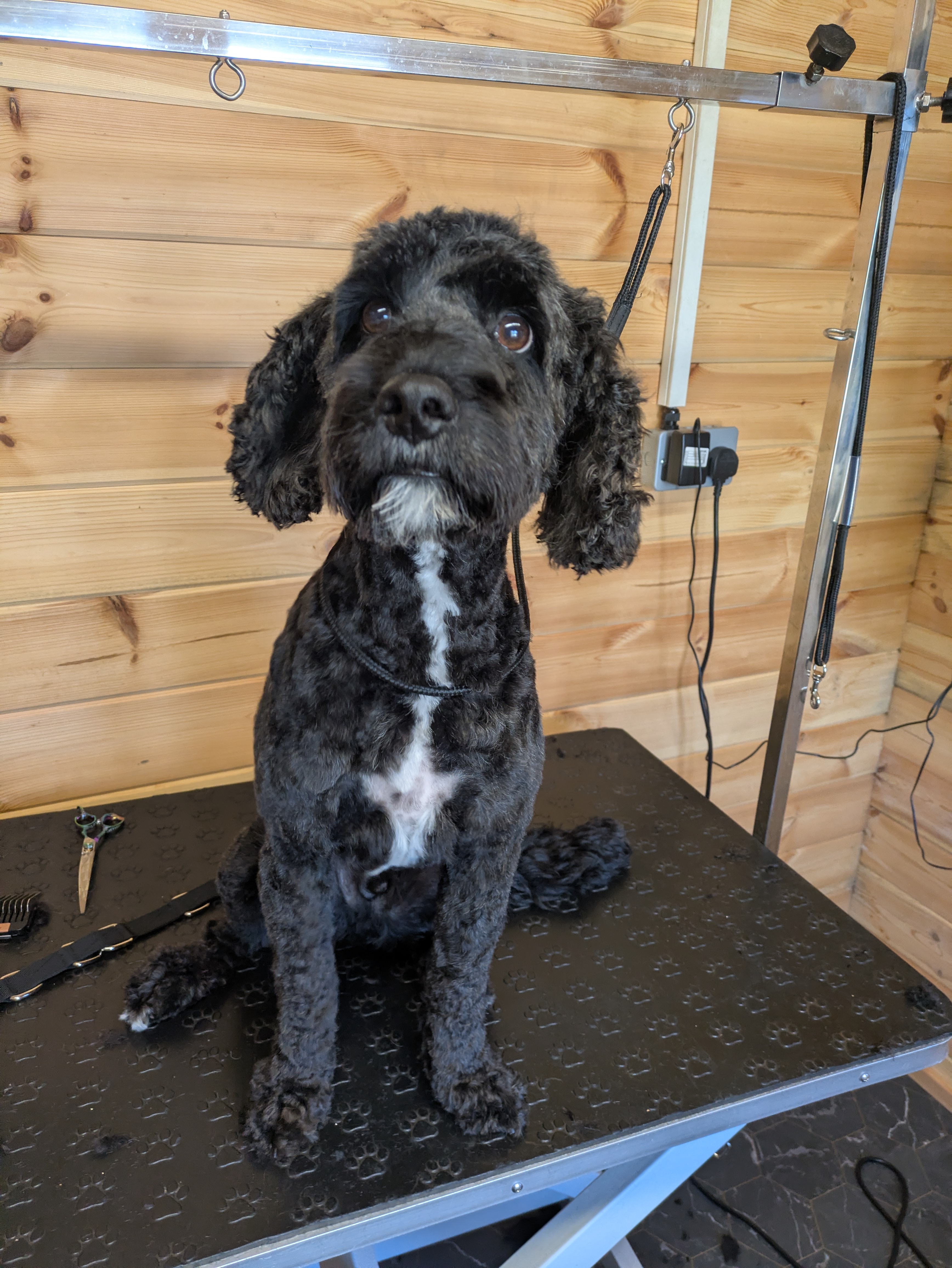 After grooming